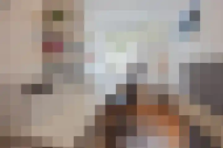 Hertogshoef 205 Raamsdonksveer thumbnail 41