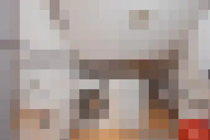 Hertogshoef 205 Raamsdonksveer thumbnail 47