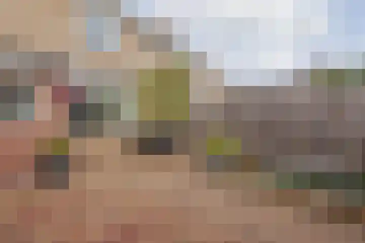 Hertogshoef 205 Raamsdonksveer thumbnail 51