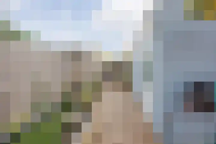 Hertogshoef 205 Raamsdonksveer thumbnail 52