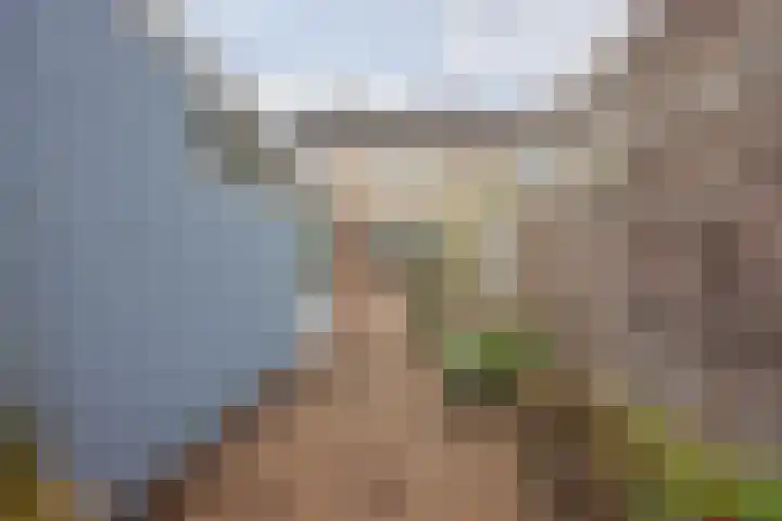 Hertogshoef 205 Raamsdonksveer thumbnail 53