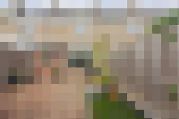 Hertogshoef 205 Raamsdonksveer thumbnail 54