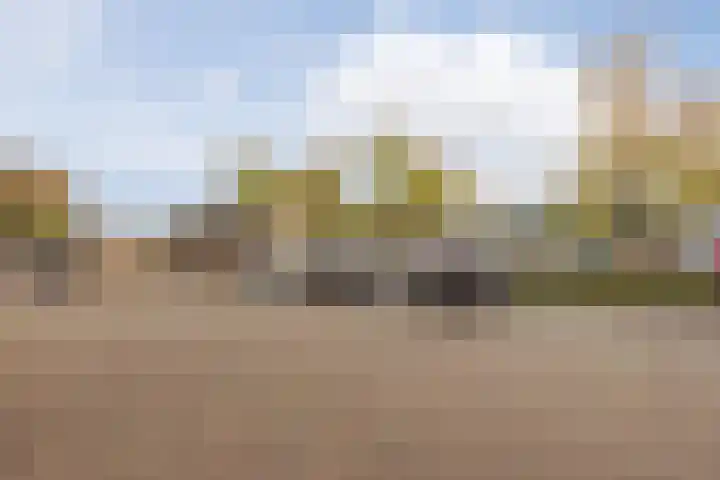 Hertogshoef 205 Raamsdonksveer thumbnail 55