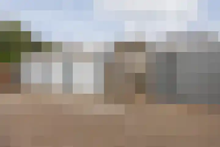 Hertogshoef 205 Raamsdonksveer thumbnail 56