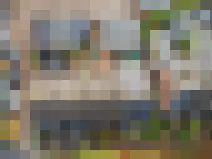 Hertogshoef 205 Raamsdonksveer thumbnail 6