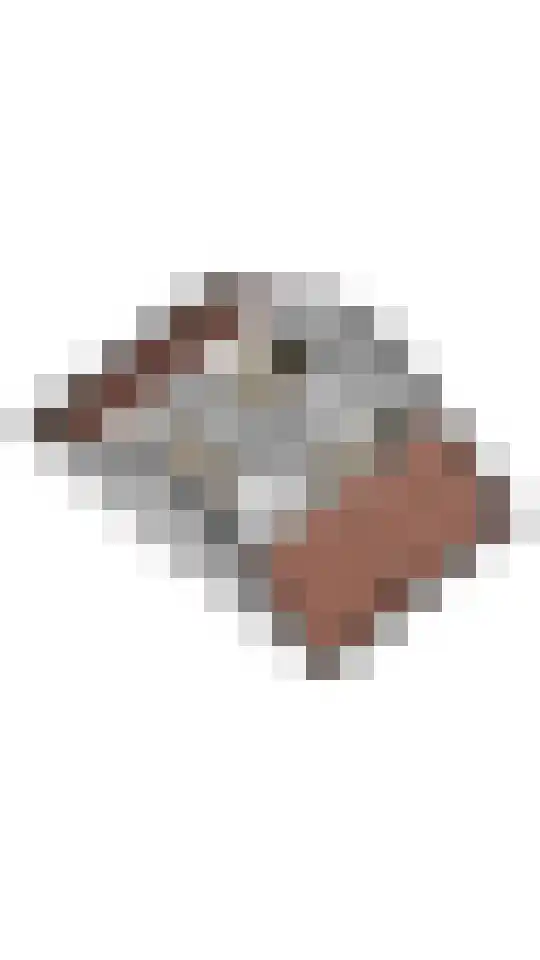 Hertogshoef 205 Raamsdonksveer thumbnail 64