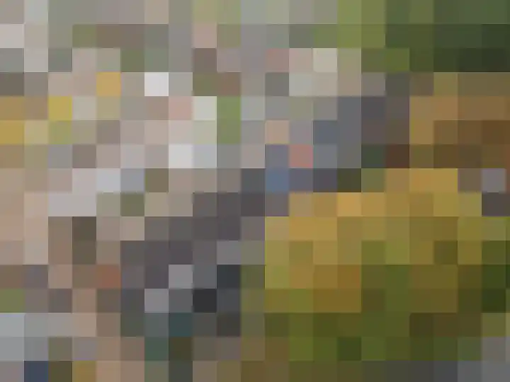 Hertogshoef 205 Raamsdonksveer thumbnail 7