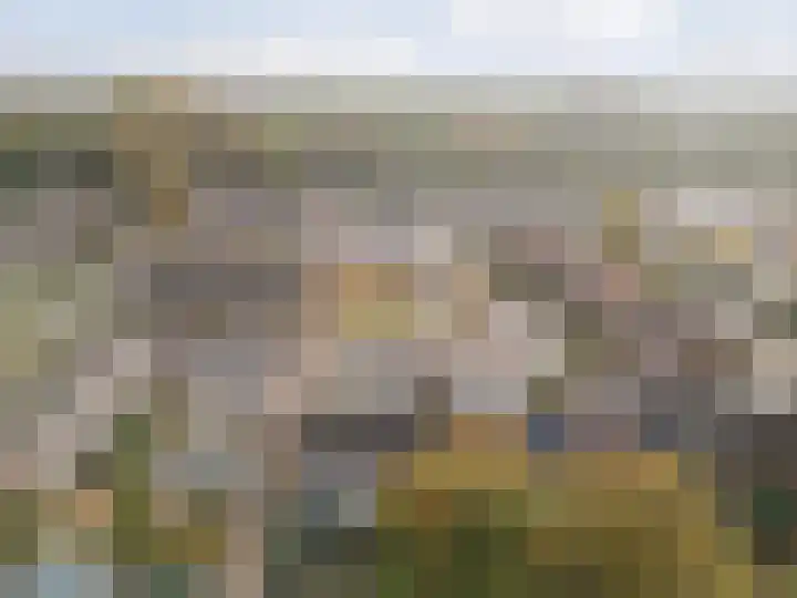 Hertogshoef 205 Raamsdonksveer thumbnail 8