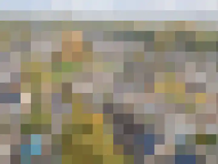 Hertogshoef 205 Raamsdonksveer thumbnail 9