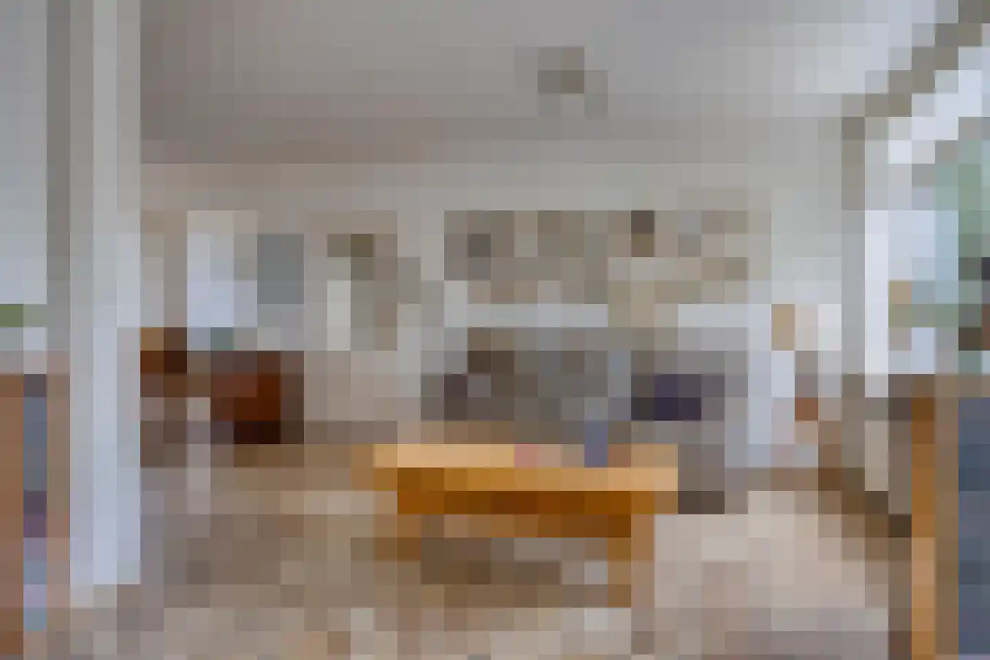 Hertogshoef 242 Raamsdonksveer thumbnail 12