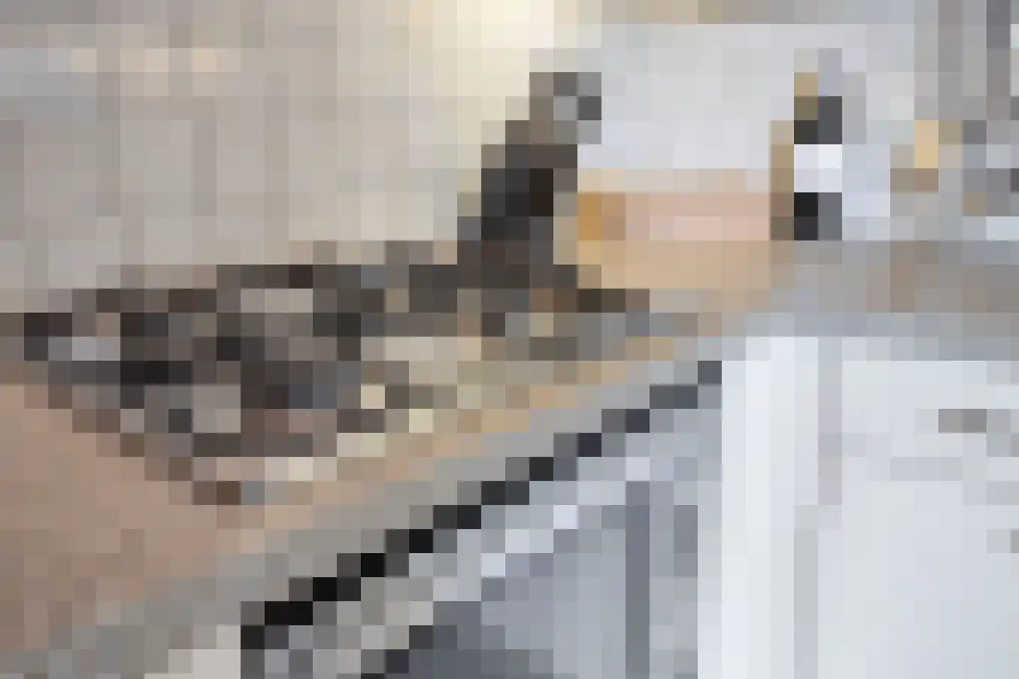 Hertogshoef 242 Raamsdonksveer thumbnail 18