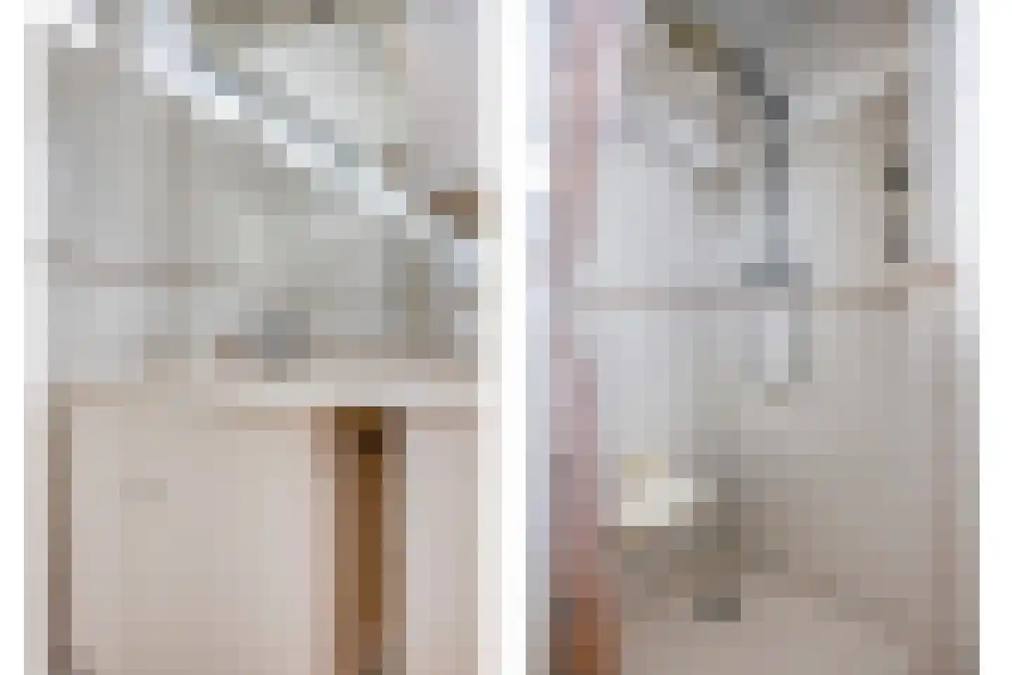 Hertogshoef 242 Raamsdonksveer thumbnail 34