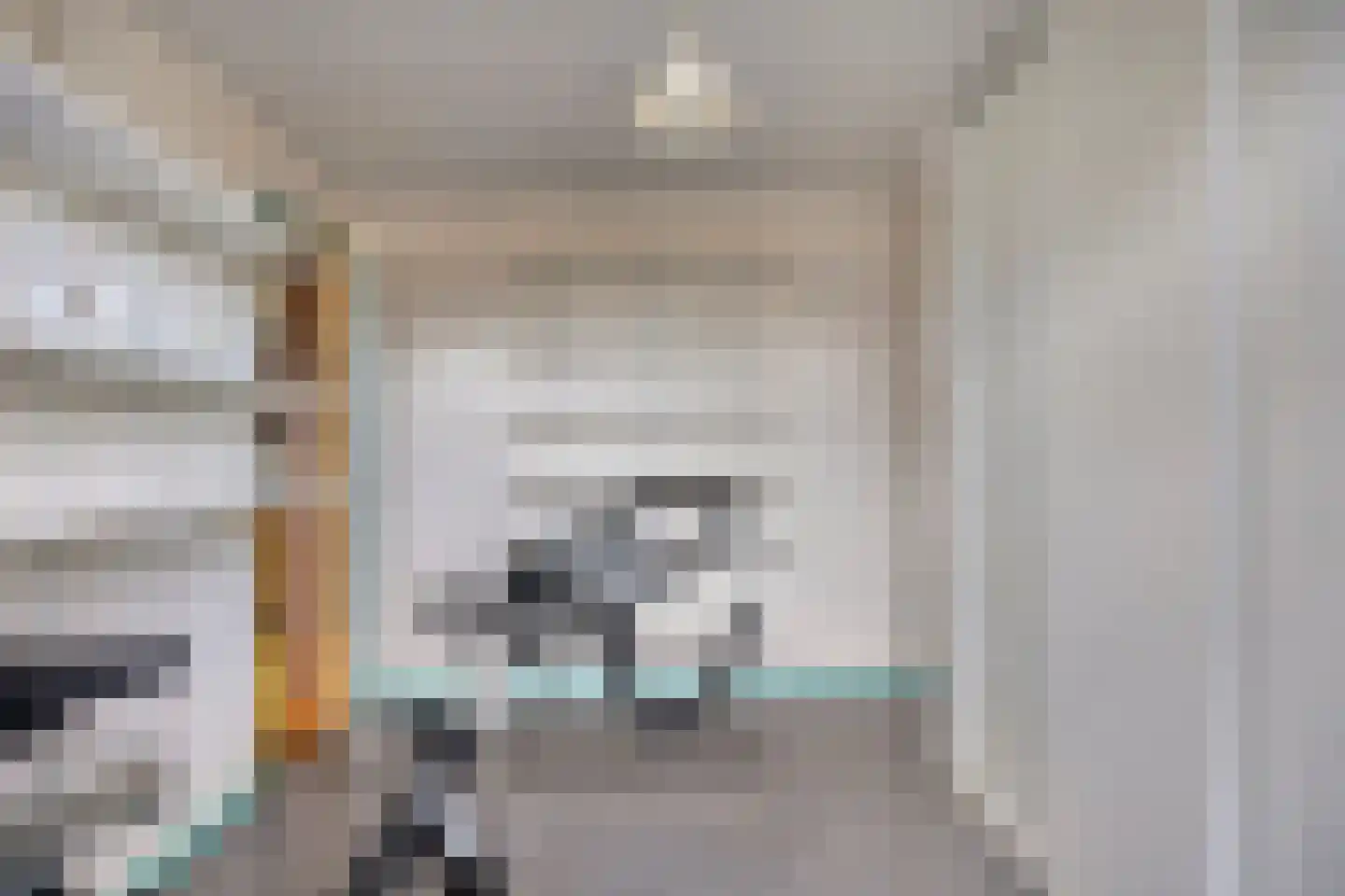 Hertogshoef 242 Raamsdonksveer thumbnail 39