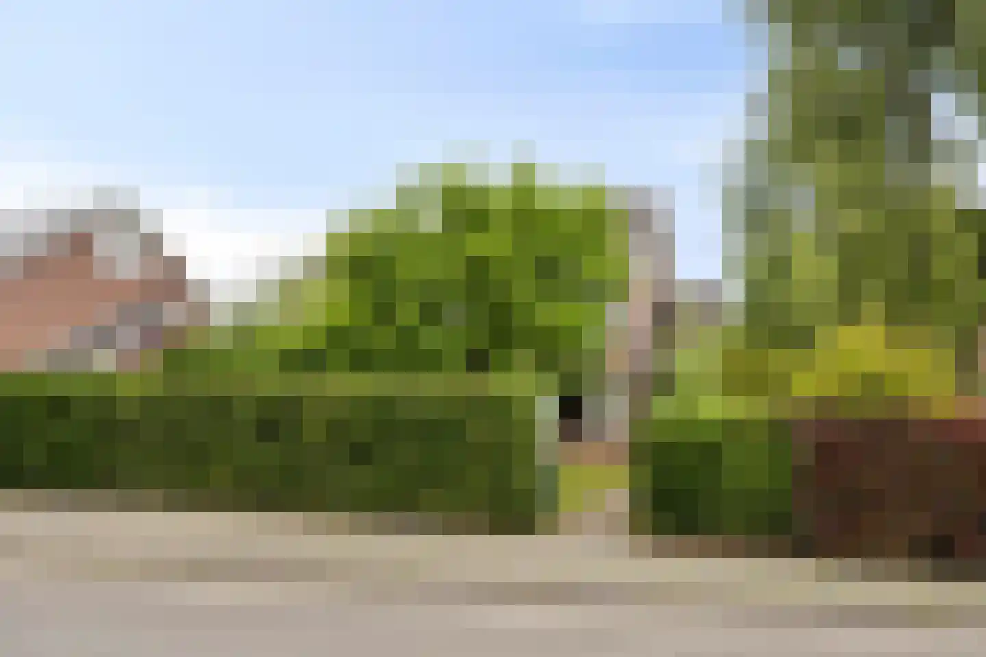 Hertogshoef 242 Raamsdonksveer thumbnail 4