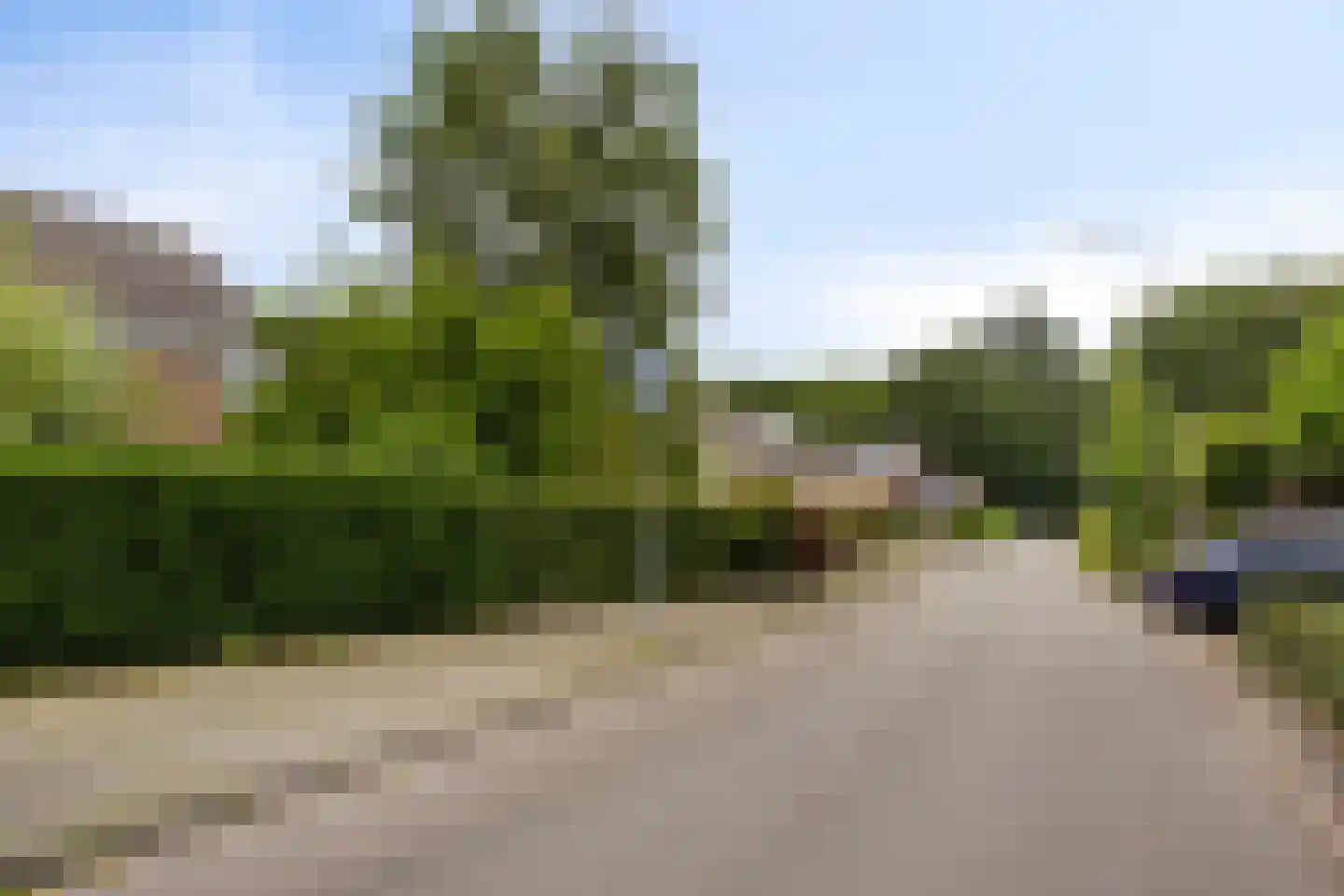 Hertogshoef 242 Raamsdonksveer thumbnail 5