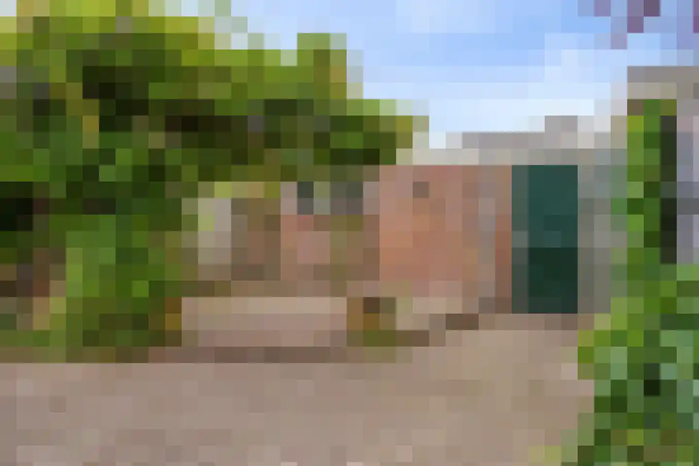 Hertogshoef 242 Raamsdonksveer thumbnail 55