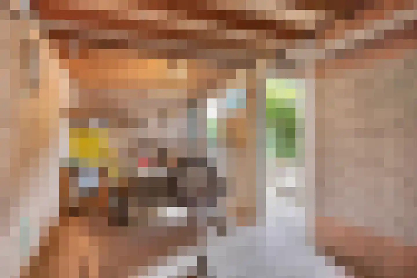 Hertogshoef 242 Raamsdonksveer thumbnail 60