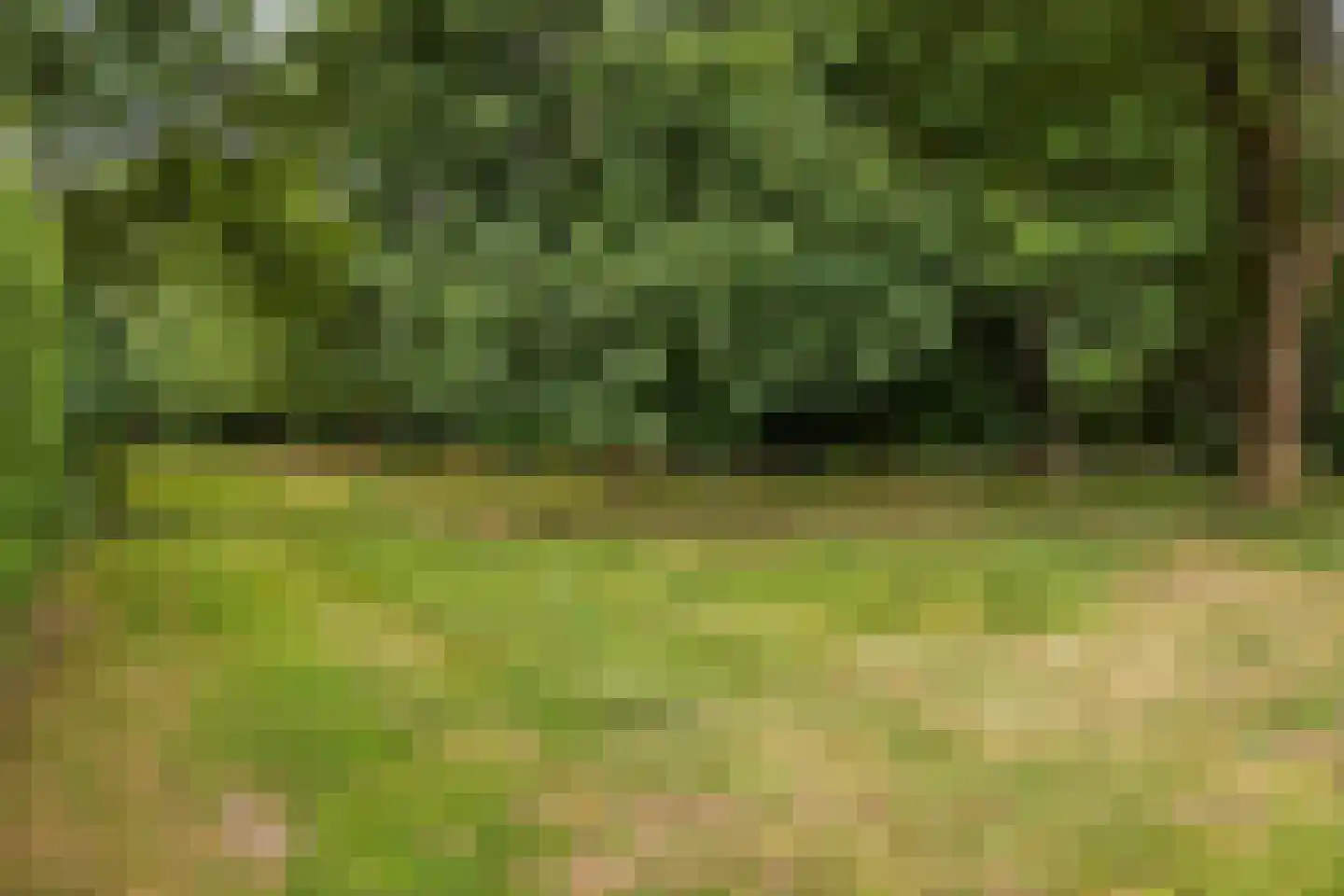 Hertogshoef 242 Raamsdonksveer thumbnail 63