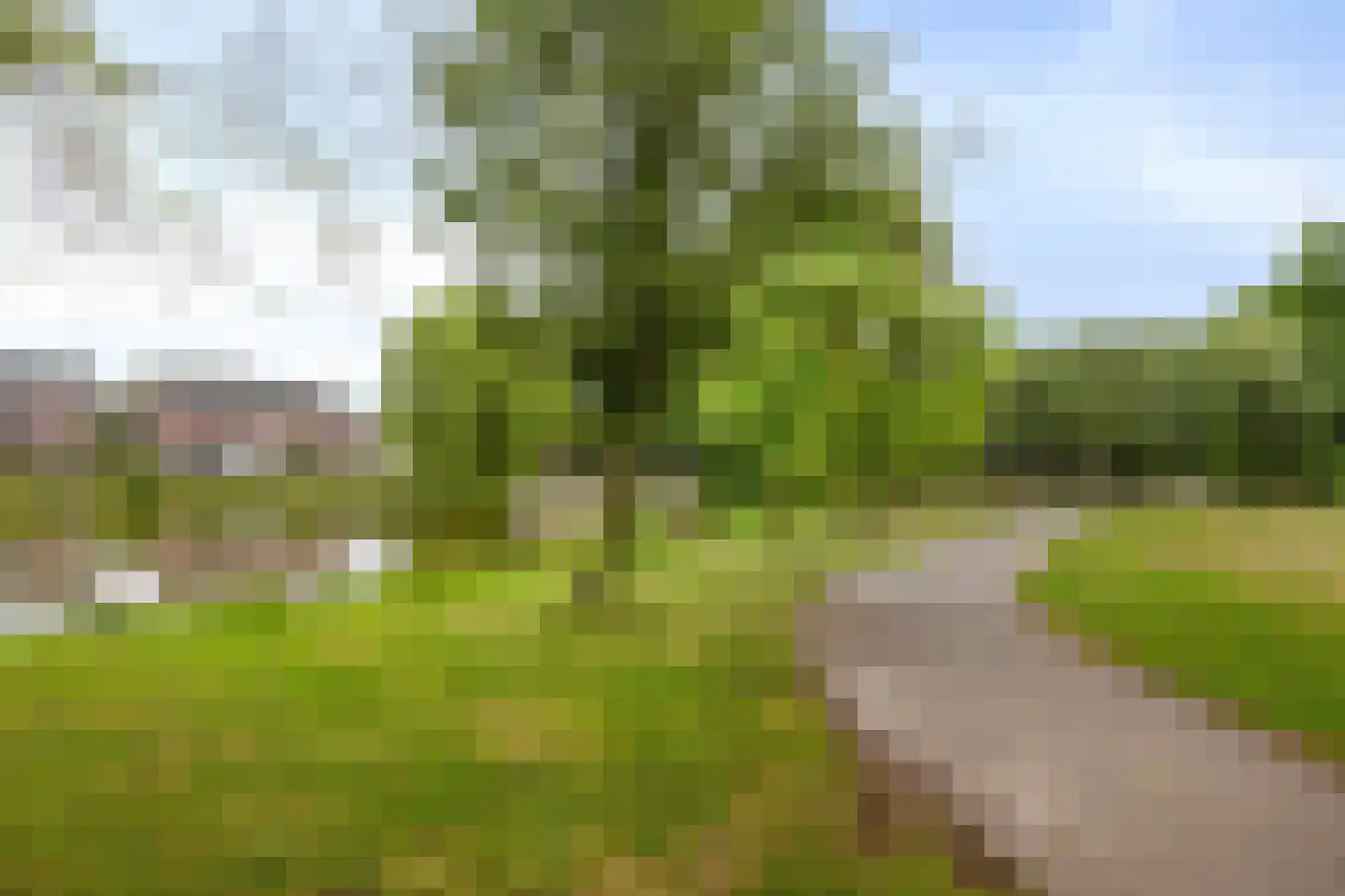 Hertogshoef 242 Raamsdonksveer thumbnail 65