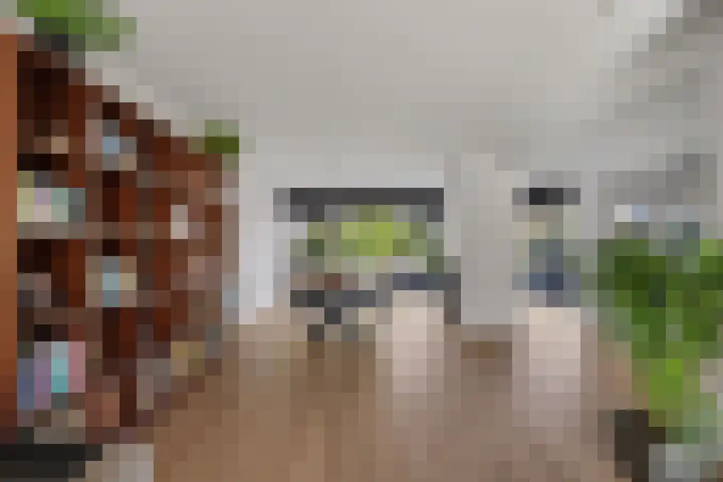 Hertogshoef 256 Raamsdonksveer thumbnail 10