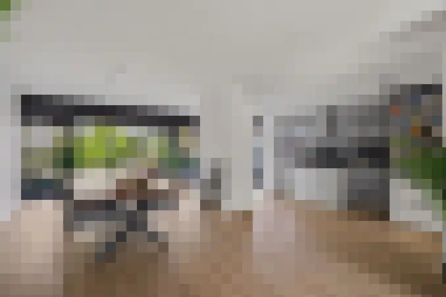 Hertogshoef 256 Raamsdonksveer thumbnail 12