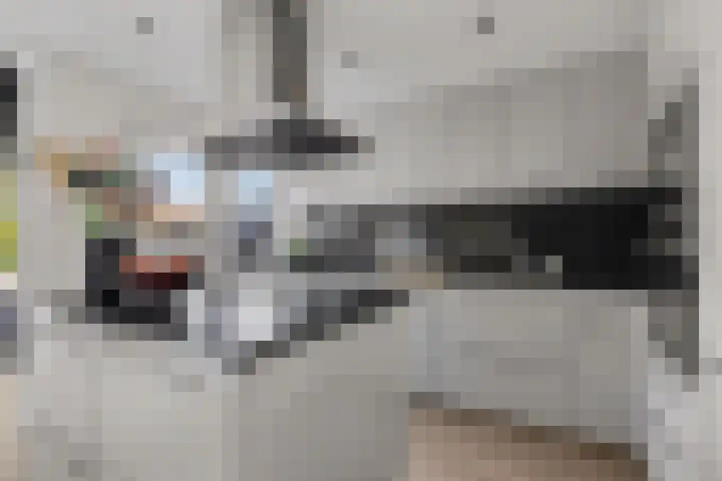Hertogshoef 256 Raamsdonksveer thumbnail 16
