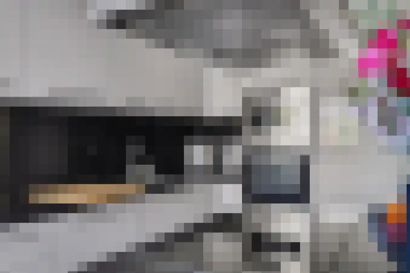 Hertogshoef 256 Raamsdonksveer thumbnail 18