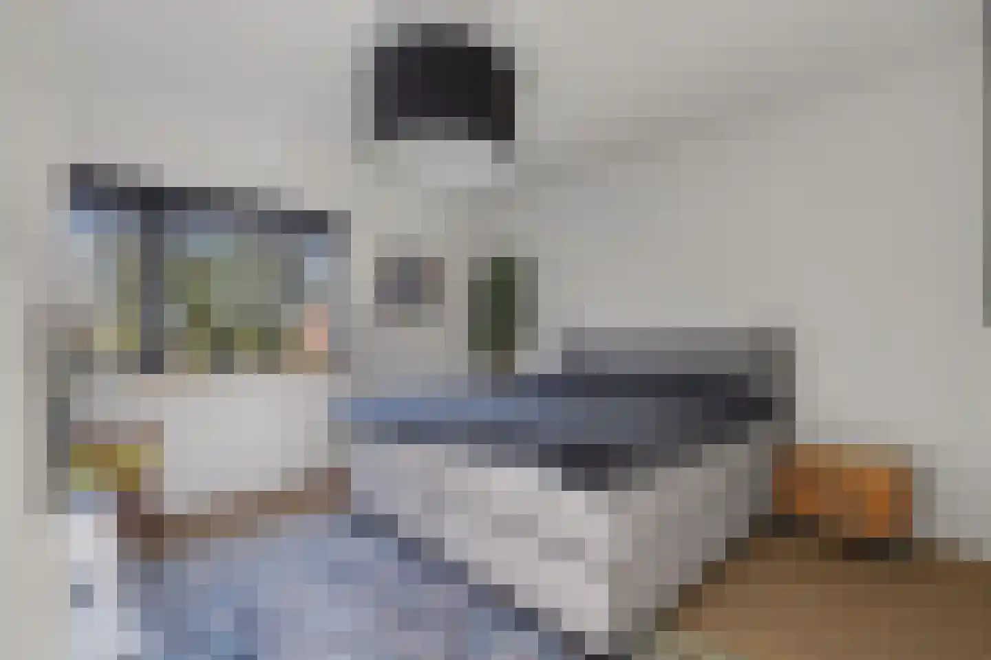 Hertogshoef 256 Raamsdonksveer thumbnail 23