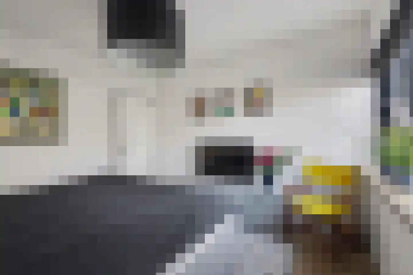Hertogshoef 256 Raamsdonksveer thumbnail 24