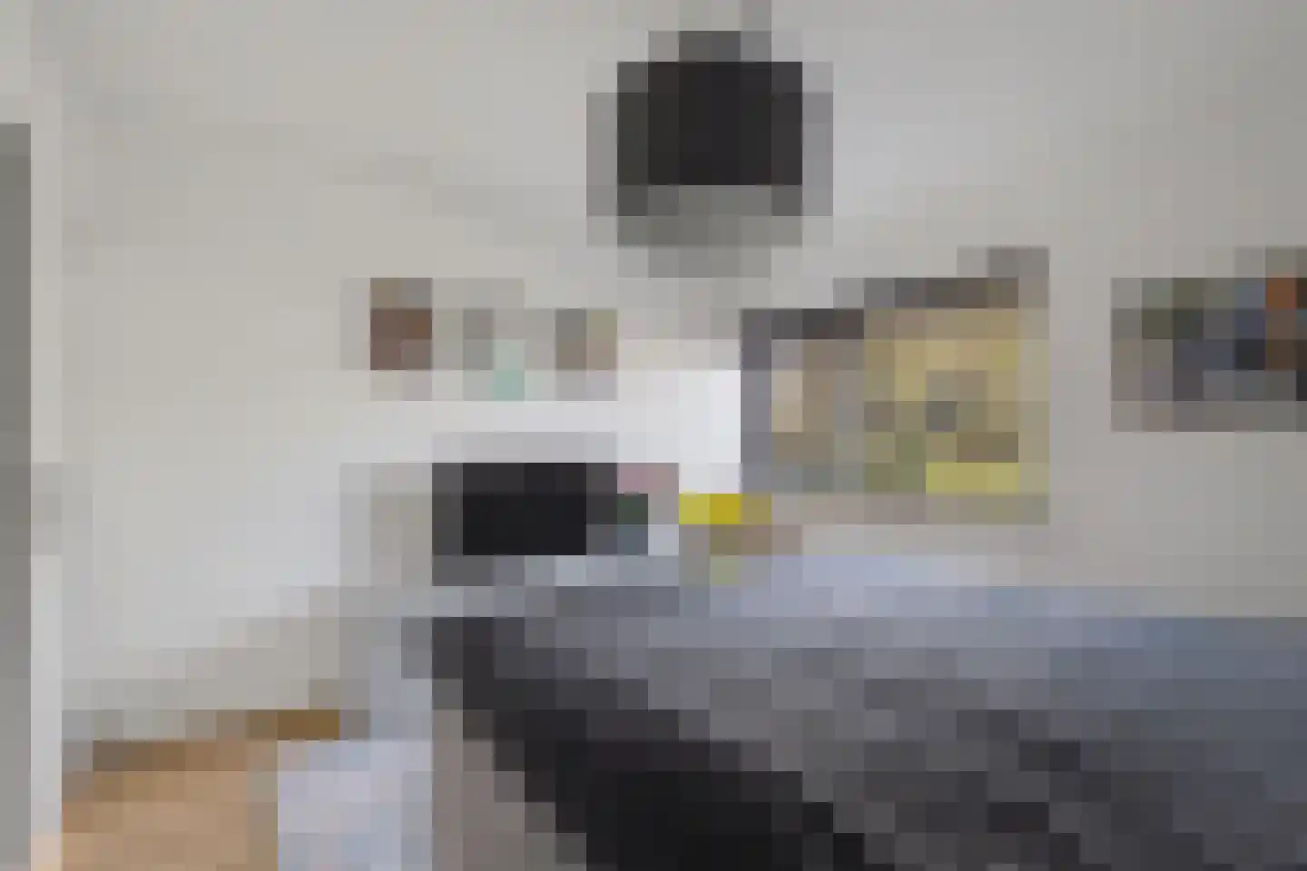 Hertogshoef 256 Raamsdonksveer thumbnail 25
