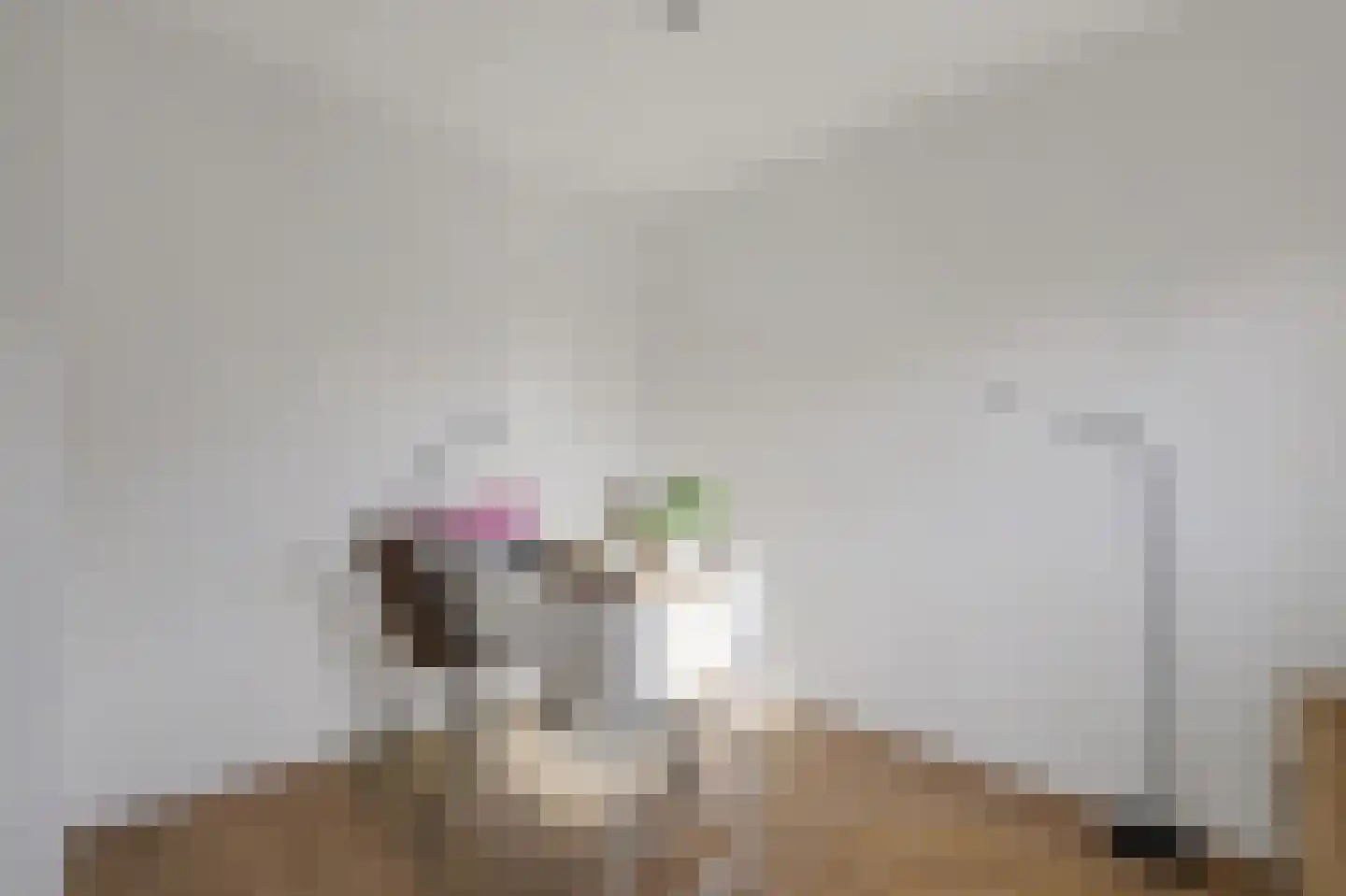 Hertogshoef 256 Raamsdonksveer thumbnail 29