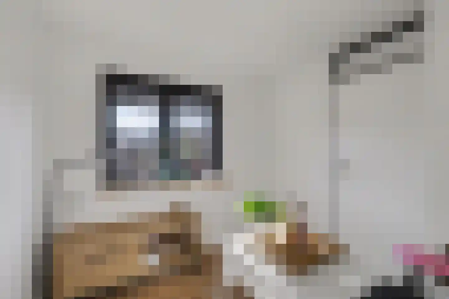 Hertogshoef 256 Raamsdonksveer thumbnail 30
