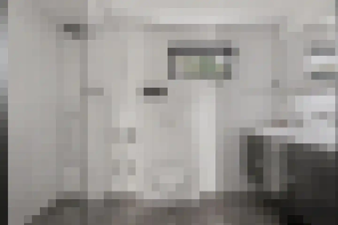 Hertogshoef 256 Raamsdonksveer thumbnail 31