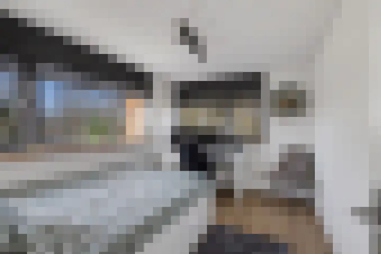 Hertogshoef 256 Raamsdonksveer thumbnail 34