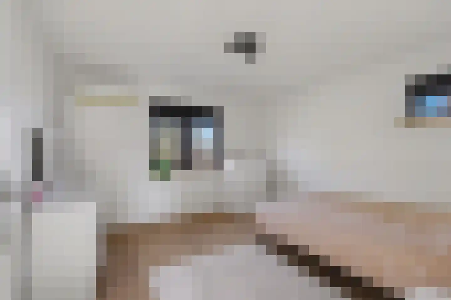 Hertogshoef 256 Raamsdonksveer thumbnail 36