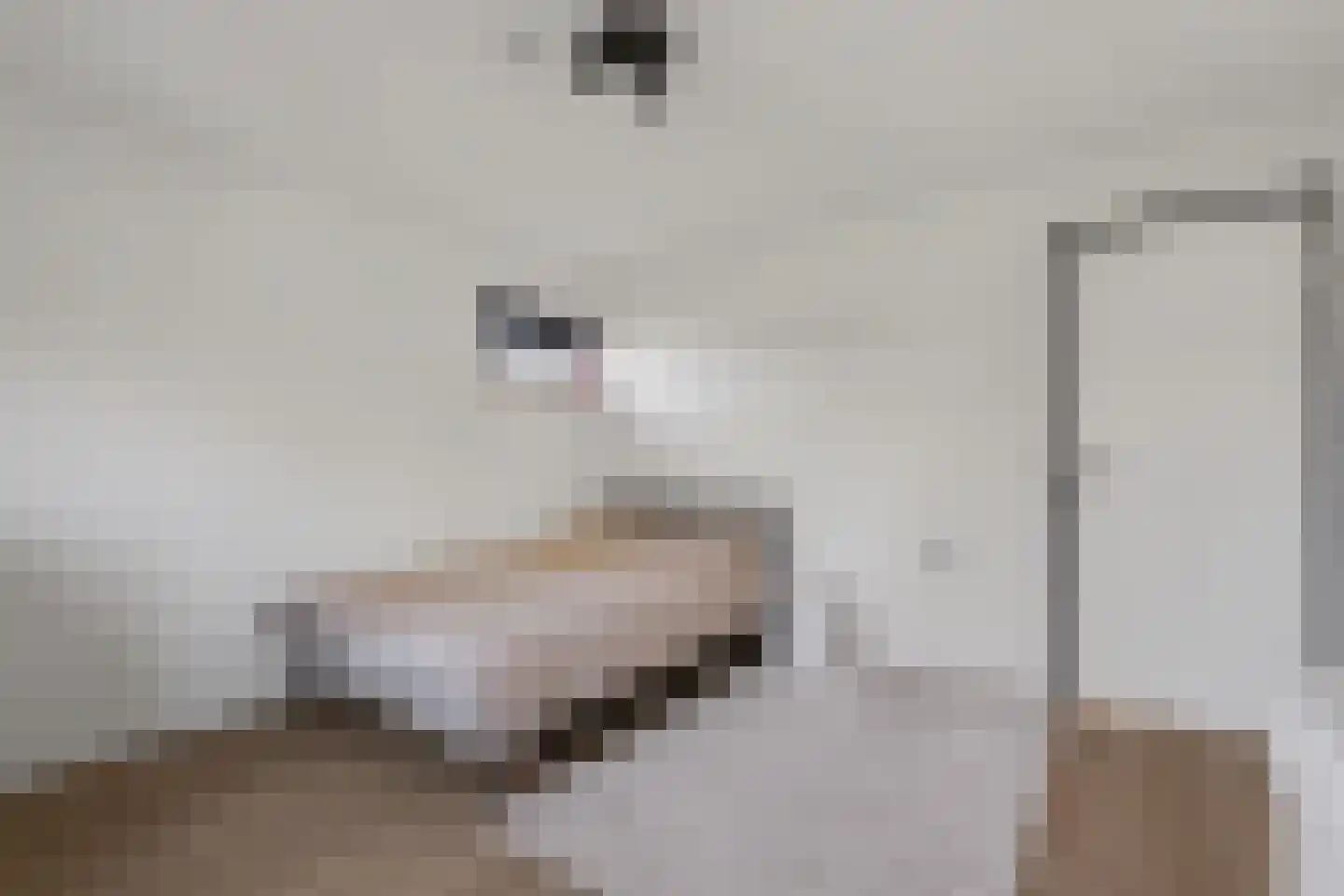 Hertogshoef 256 Raamsdonksveer thumbnail 37