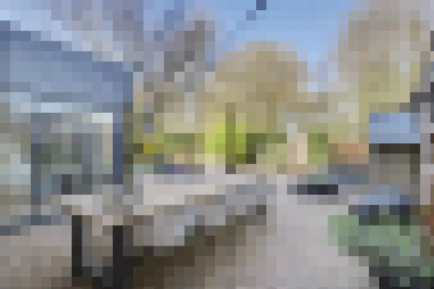Hertogshoef 256 Raamsdonksveer thumbnail 4