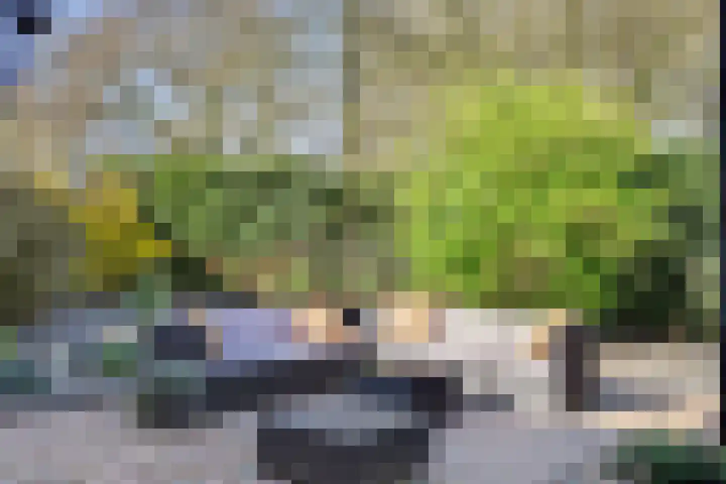 Hertogshoef 256 Raamsdonksveer thumbnail 42