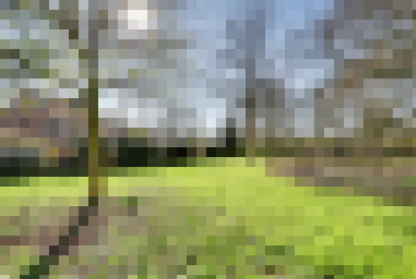 Hertogshoef 256 Raamsdonksveer thumbnail 50