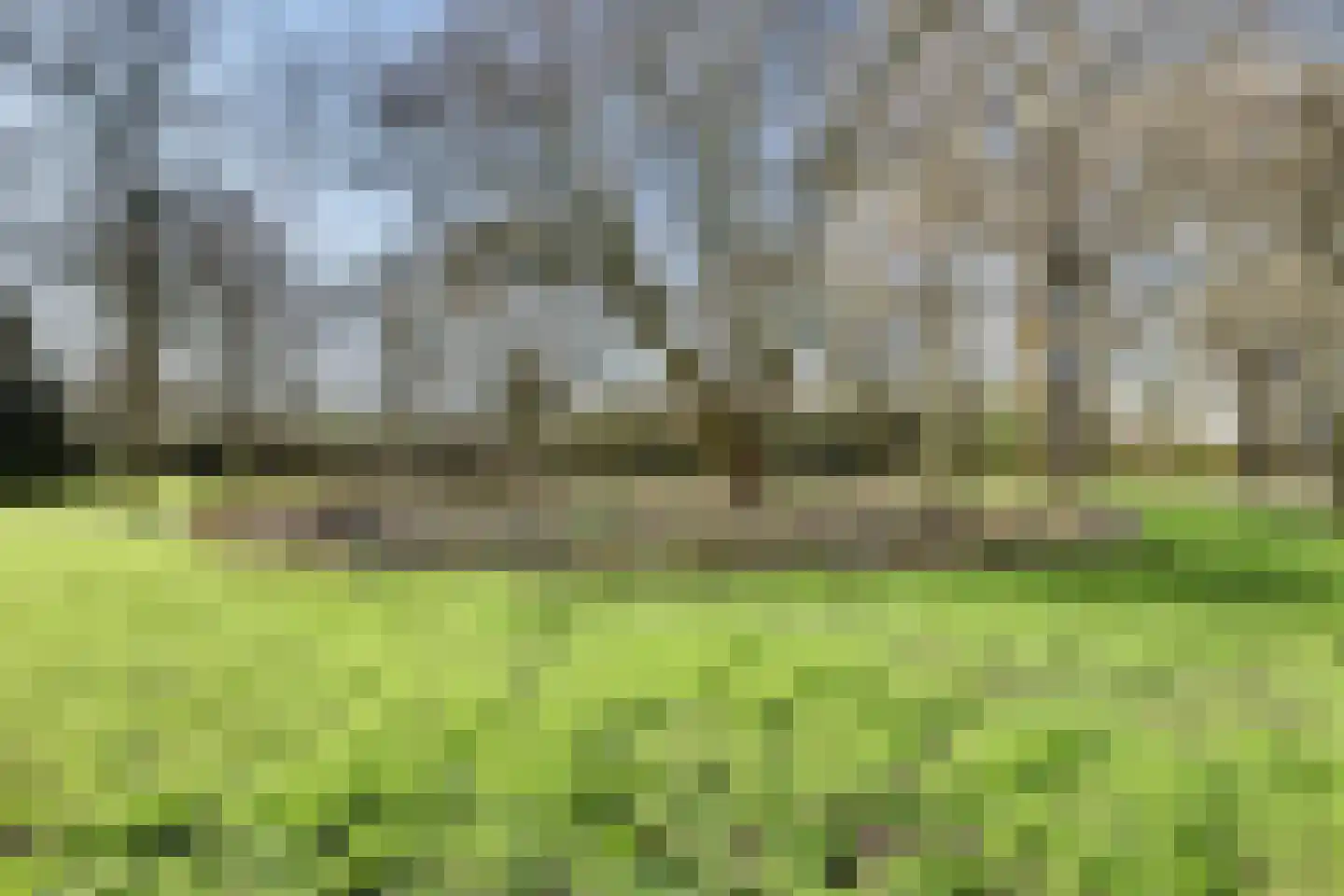 Hertogshoef 256 Raamsdonksveer thumbnail 51