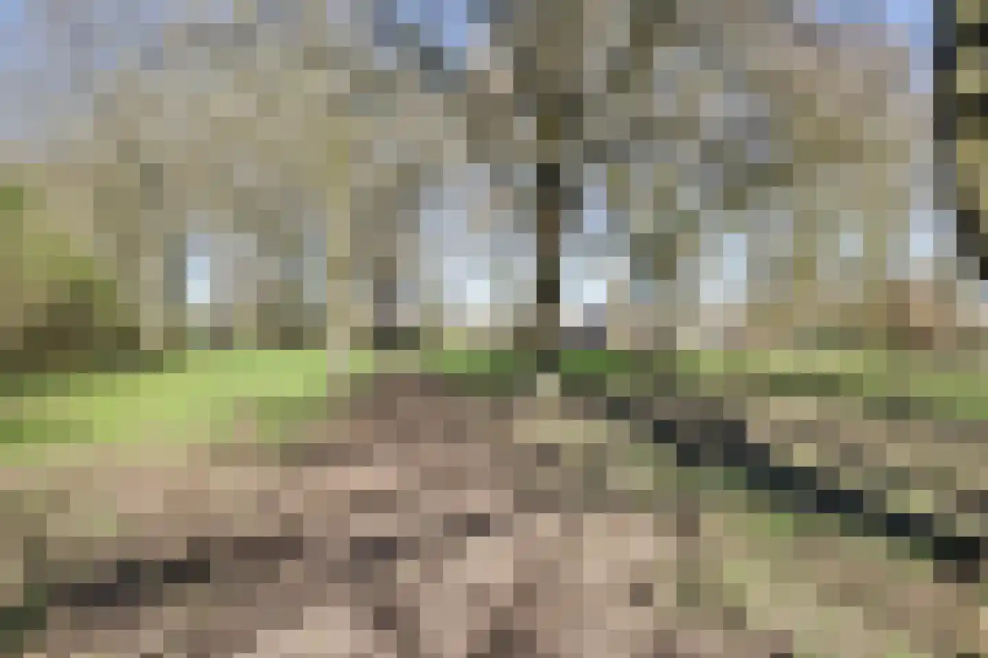 Hertogshoef 256 Raamsdonksveer thumbnail 53