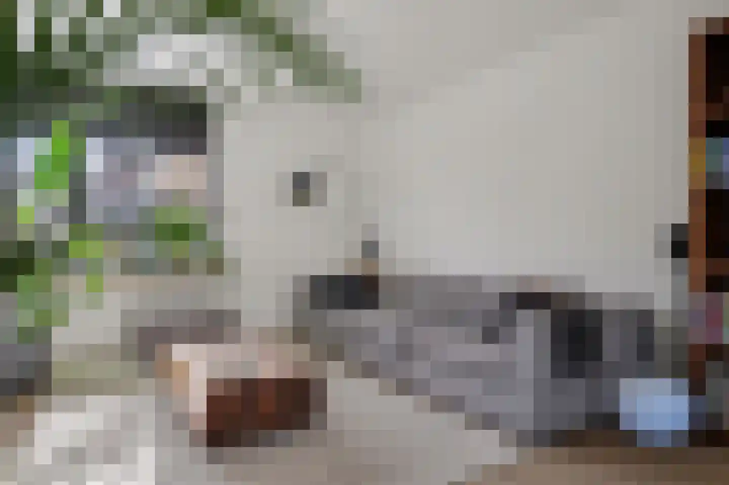 Hertogshoef 256 Raamsdonksveer thumbnail 8