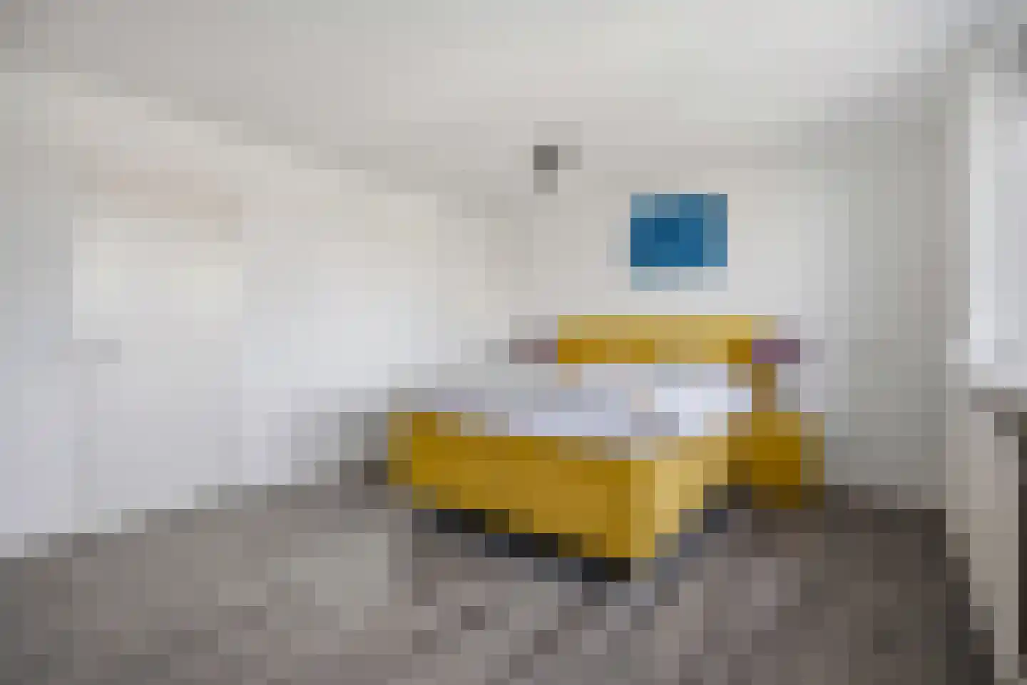 Hertogshoef 39 Raamsdonksveer thumbnail 20