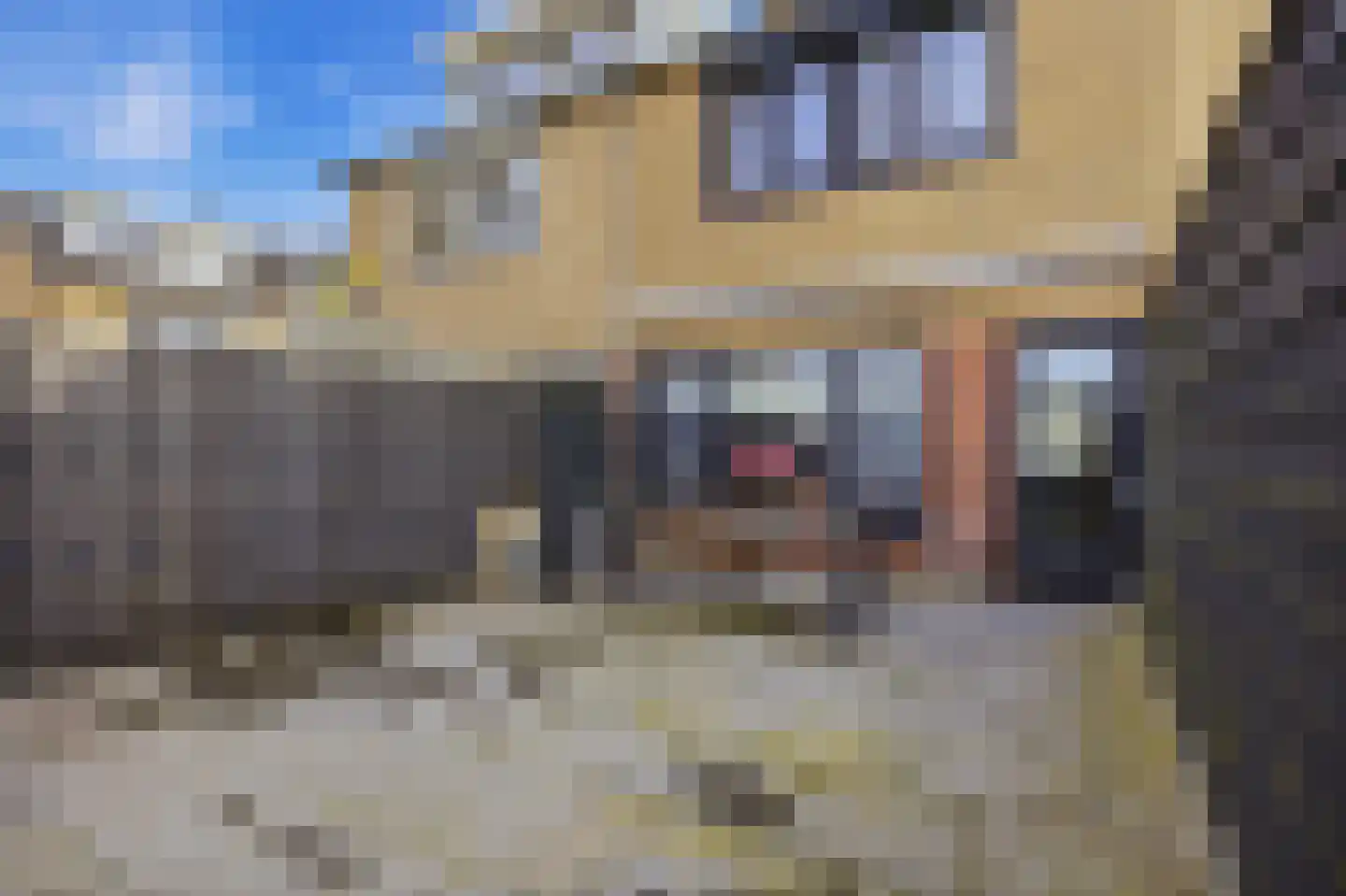 Hertogshoef 39 Raamsdonksveer thumbnail 28