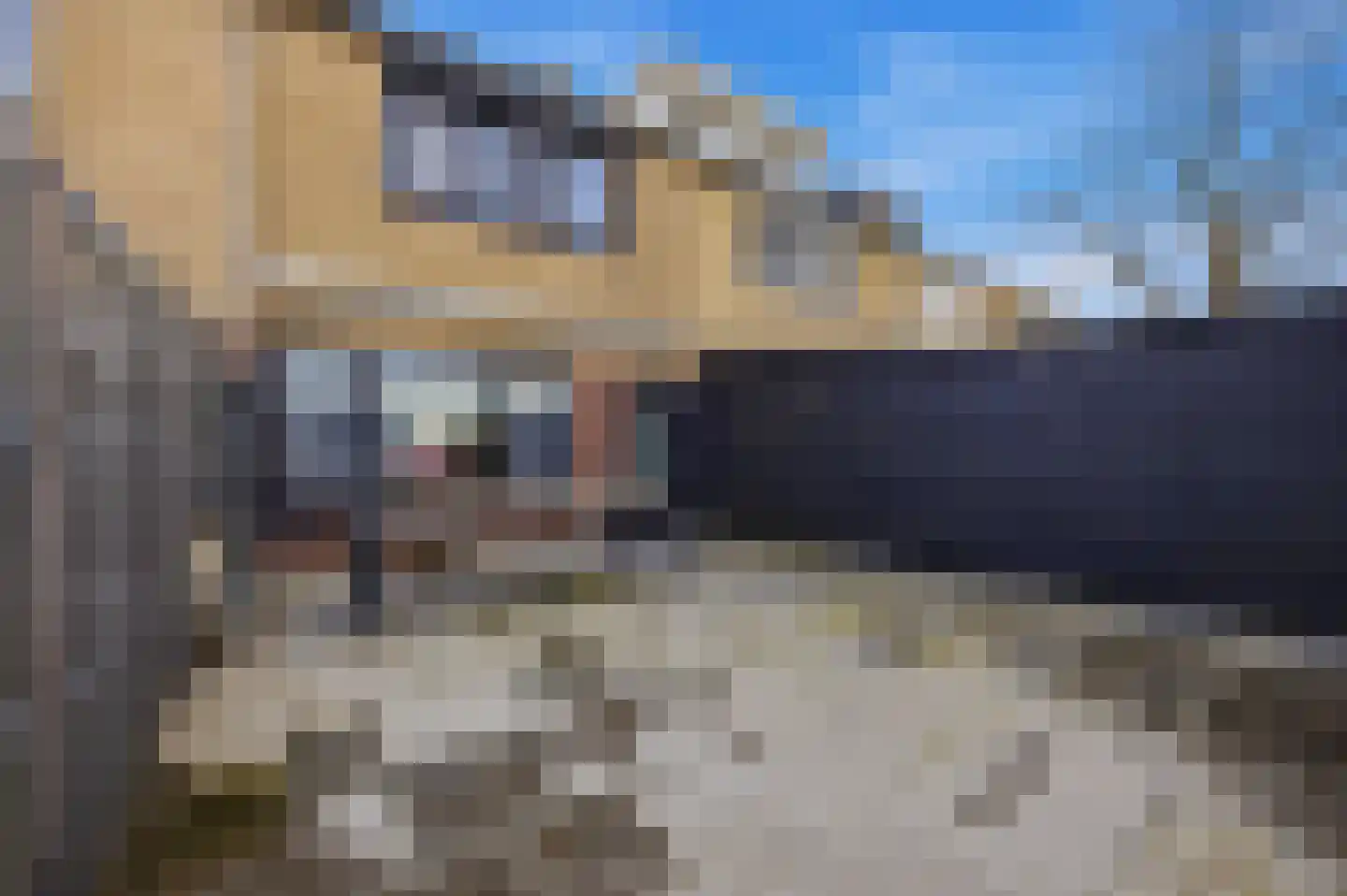 Hertogshoef 39 Raamsdonksveer thumbnail 29