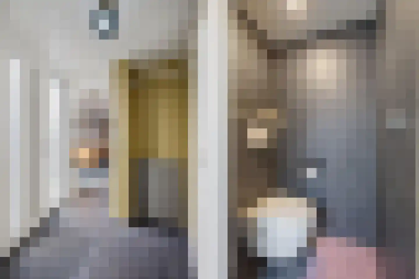Hertogshoef 39 Raamsdonksveer thumbnail 4