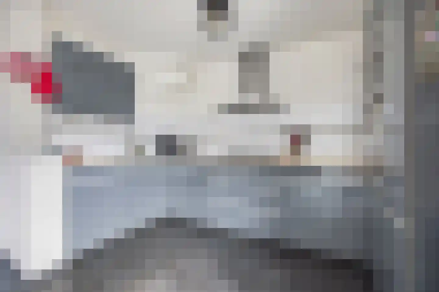 Hertogshoef 39 Raamsdonksveer thumbnail 5