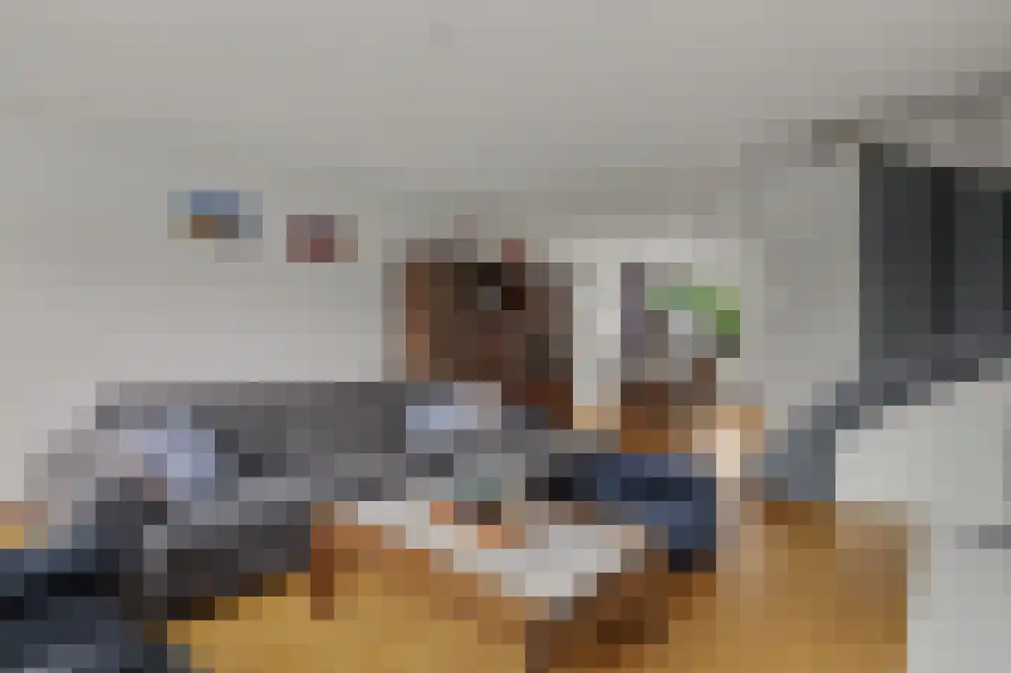 Hertogshoef 45 Raamsdonksveer thumbnail 12