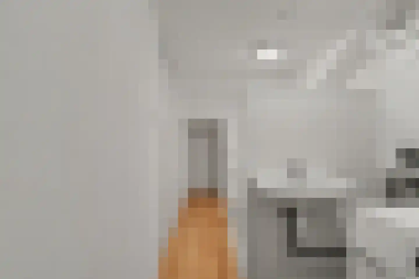 Hertogshoef 45 Raamsdonksveer thumbnail 35