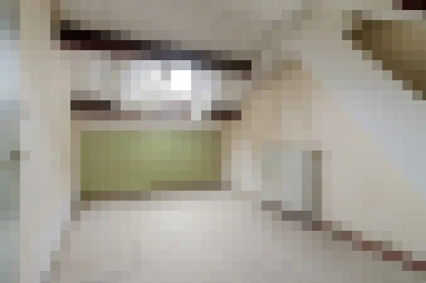 Hertogshoef 67 Raamsdonksveer thumbnail 26